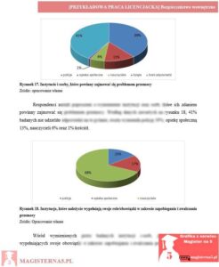 przykładowy rozdział badawczy praca licencjacka bezpieczeństwo wewnętrzne