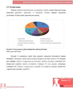 przykładowy rozdział badawczy praca licencjacka bezpieczeństwo wewnętrzne