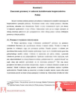 przykładowy rozdział teoretyczny praca licencjacka bezpieczeństwo wewnętrzne