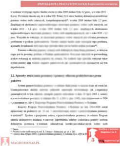 przykładowy rozdział teoretyczny praca licencjacka bezpieczeństwo wewnętrzne