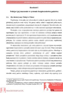 przykładowy rozdział teoretyczny praca licencjacka bezpieczeństwo wewnętrzne