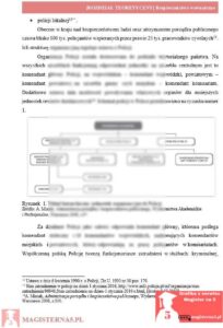 przykładowy rozdział teoretyczny praca licencjacka bezpieczeństwo wewnętrzne
