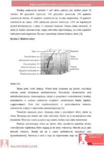 przykładowy rozdział teoretyczny praca licencjacka kosmetologia
