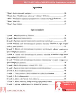 przykładowy spis tabel praca licencjacka bezpieczeństwo wewnętrzne