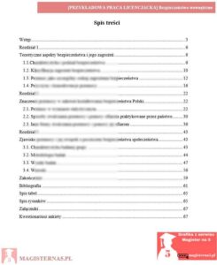 przykładowy spis treści praca licencjacka bezpieczeństwo wewnętrzne