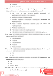 przykładowa ankieta praca licencjacka administracja