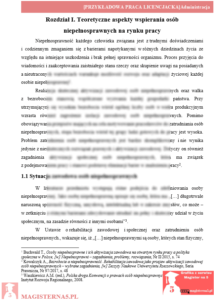 wzór rozdział teoretyczny pracy licencjackiej z administracji przykładowy rozdział teoretyczny praca licencjacka administracja