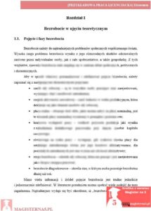 przykładowy rozdział teoretyczny praca licencjacka ekonomia