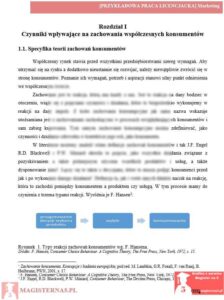 przykładowy rozdział teoretyczny praca licencjacka marketing