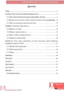 przykładowy spis treści praca licencjacka fizjoterapia