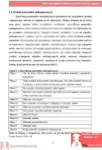 przykładowy rozdział teoretyczny praca licencjacka logistyka