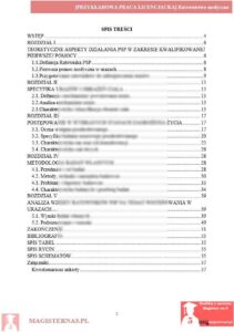 przykładowy spis treści praca licencjacka kosmetologia