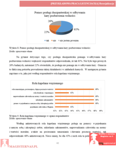 przykładowy rozdział badawczy praca licencjacka resocjalizacja