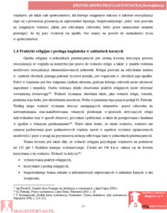 przykładowy rozdział teoretyczny praca licencjacka resocjalizacja