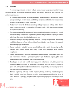 przykładowe wnioski praca licencjacka resocjalizacja