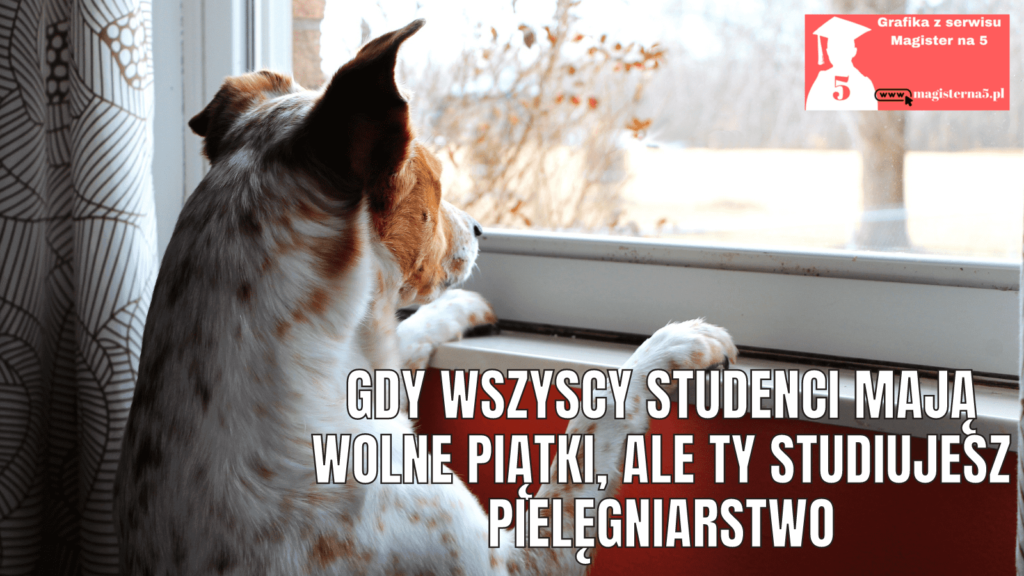 Studia z pielęgniarstwa czy jest dużo wolnego czasu
